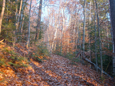The Middle Mountain Trail