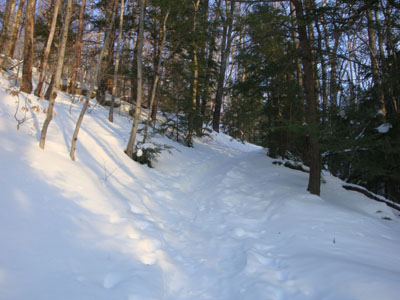 Looking up the Middle Mountain Trail