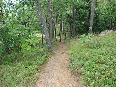 Looking down the Peaked Mountain Trail