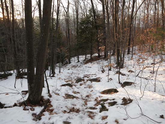 Looking down the Middle Mountain Trail
