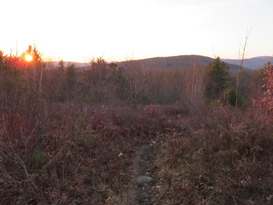 The Arlene Frances Morse Trail