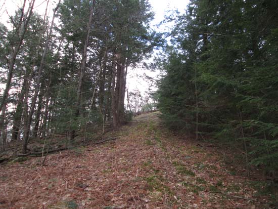 An old ski trail on the Pinnacle