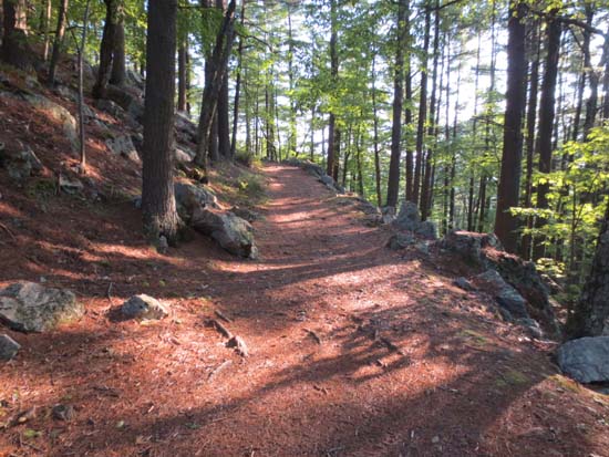 The trail to Hooksett Pinnacle