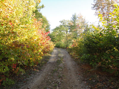 Piper Mountain Road on the way to Piper Mountain
