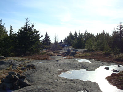 Looking down the green blazed trail toward the Piper Mountain summit