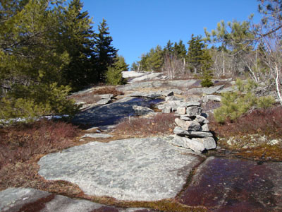 Looking up the Piper-Whiteface Link