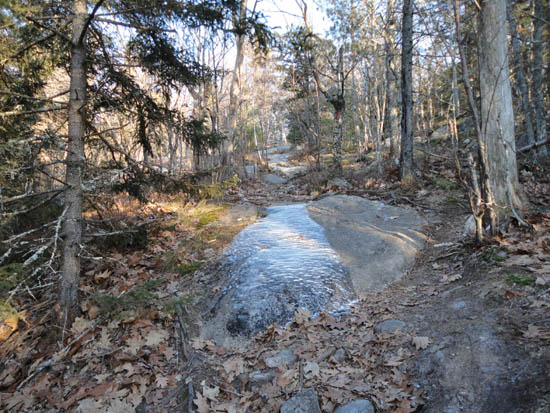Looking up the Piper Mountain Trail