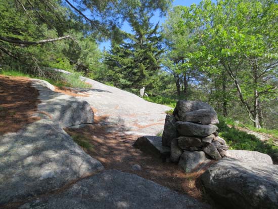 Looking up the Piper Mountain Trail