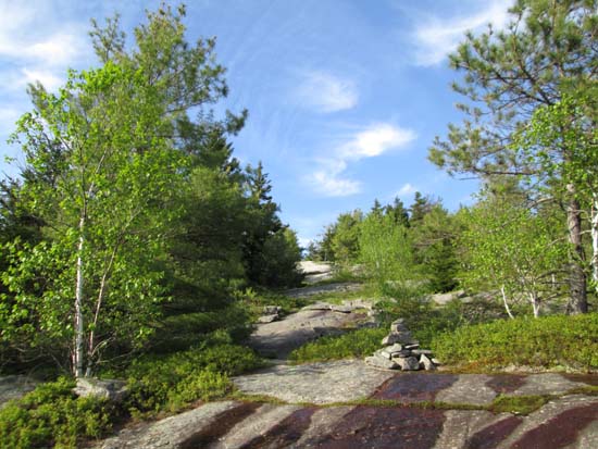 Looking up the Piper-Whiteface Link