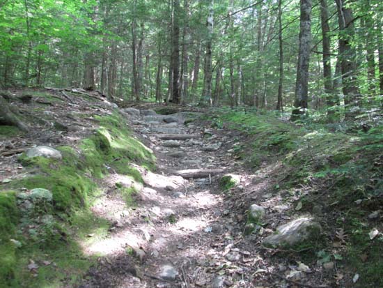 Looking up the Piper Mountain Trail