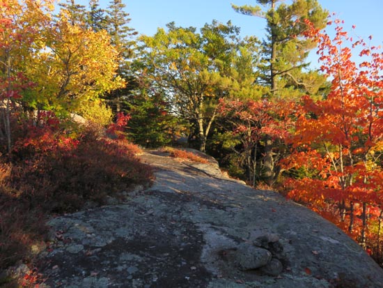 The Vista Trail