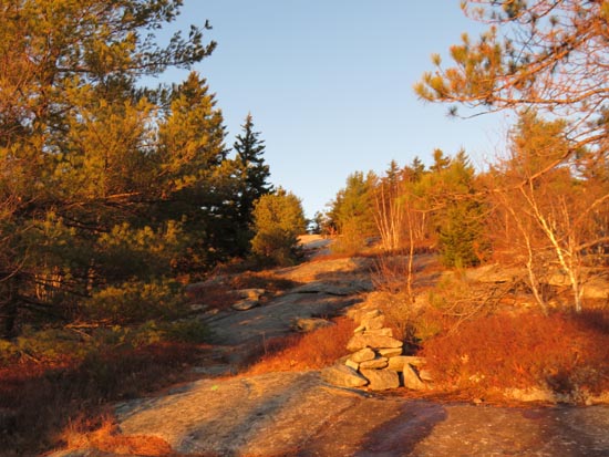 Looking up the Piper-Whiteface Link