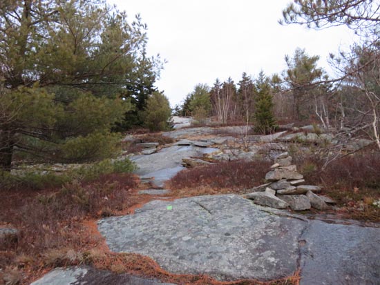 Looking up the Piper-Whiteface Link