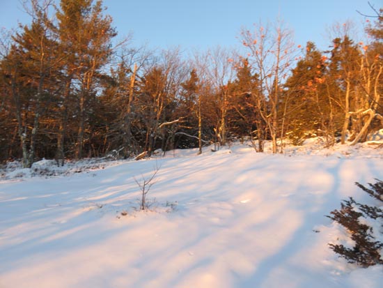 The Piper-Whiteface Link
