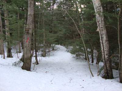 The Piper Mountain Trail trailhead on the Carriage Road