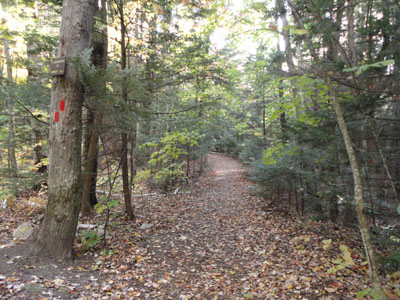 The Piper Mountain Trail trailhead on the Carriage Road