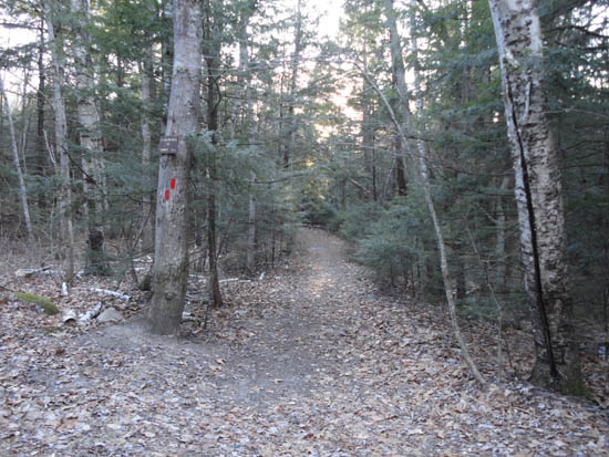 The Piper Mountain Trail trailhead on the Carriage Road