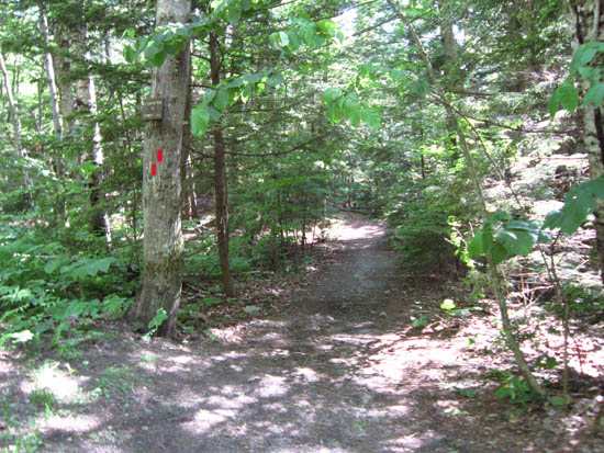 The Piper Mountain Trail trailhead on the Carriage Road
