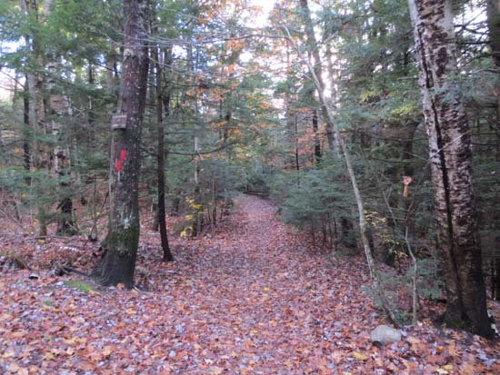 The Piper Mountain Trail trailhead on the Carriage Road