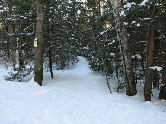 The Piper Mountain Trail trailhead on the Carriage Road