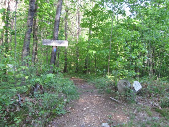 The Whiteface Mountain Trail trailhead
