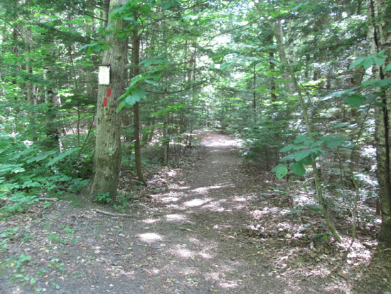 The Piper Mountain Trail trailhead on the Carriage Road