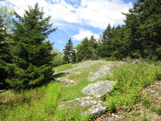 The Pitcher Hill Trail