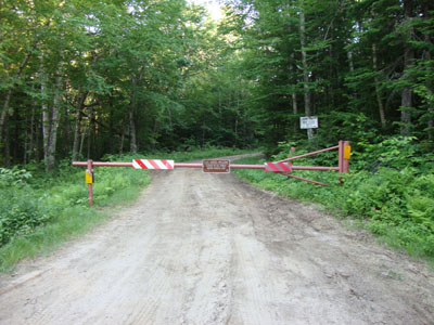 The beginning of the logging road to the Mt. Potash Trail