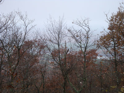 Looking into a cloud from Prospect Mountain - Click to enlarge