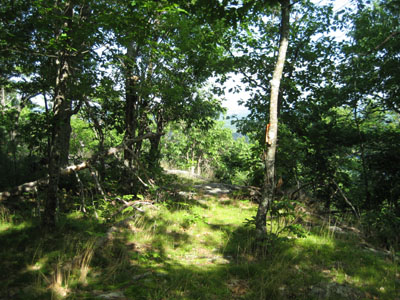 The Scarboro Ridge Trail north of Prospect Mountain