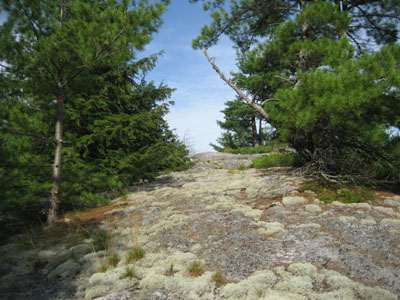 The Scarboro Ridge Trail north of Prospect Mountain
