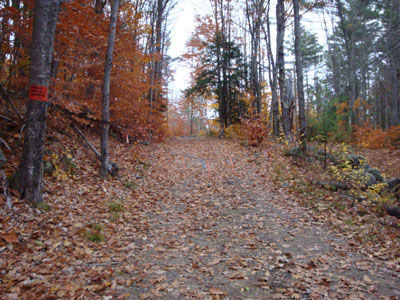 The Scarboro Ridge southern trailhead off Old Portland Road