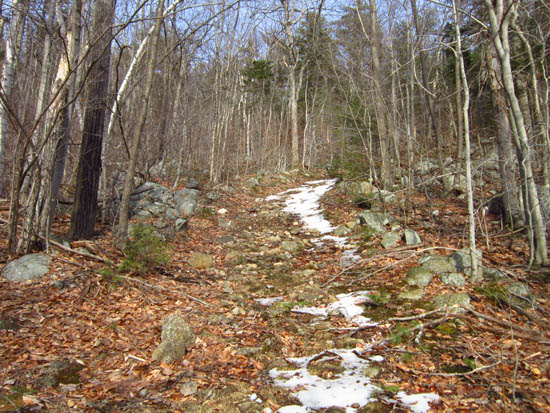 Looking up the Ragged Mountain Trail