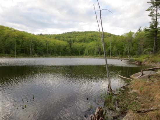 Mud Pond