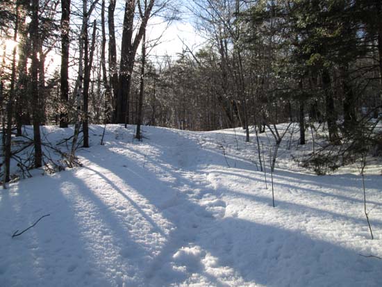 Looking up the Ragged Mountain Trail