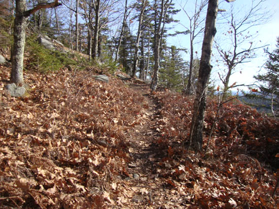 The Quarry Trail to Rand Mountain