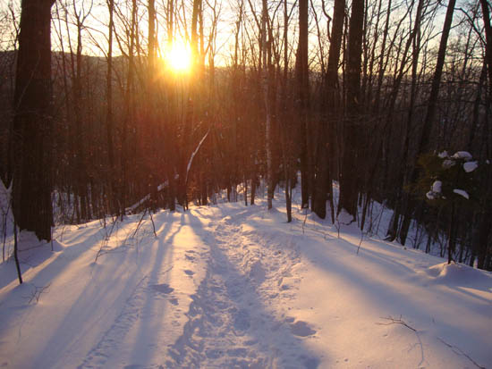 Late day sun on the Rattlesnake Mountain Trail
