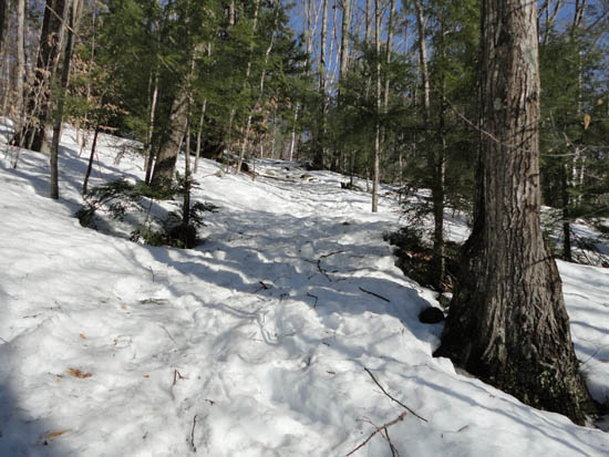 Looking up the Rattlesnake Mountain Trail