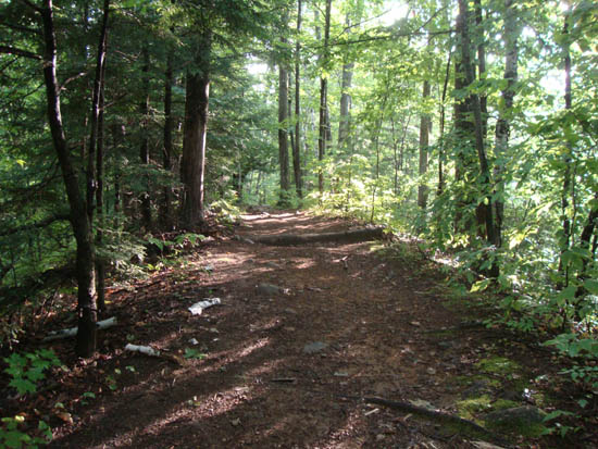 Looking down the Rattlesnake Mountain Trail