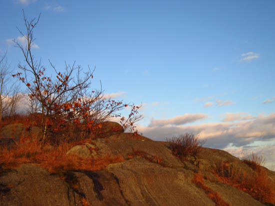 The Rattlesnake Mountain Trail
