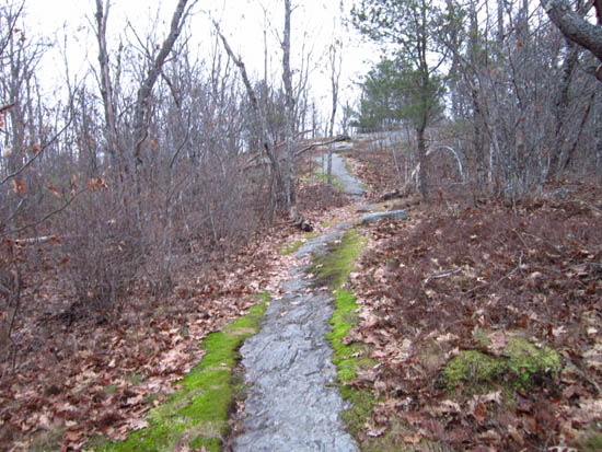 The Rattlesnake Mountain Trail