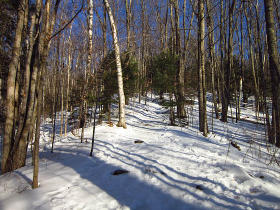 The Rattlesnake Mountain Trail