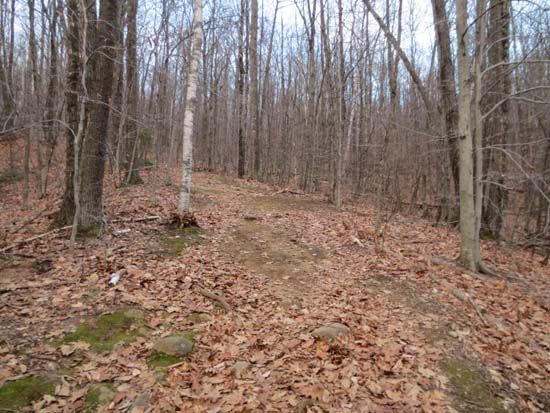 The Rattlesnake Mountain Trail