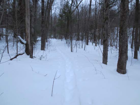 The Rattlesnake Mountain Trail