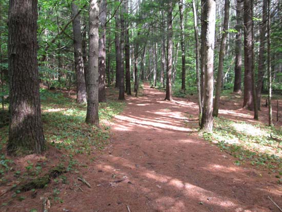 The Rattlesnake Mountain Trail