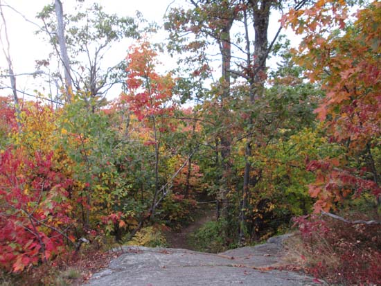 The Rattlesnake Mountain Trail near the summit