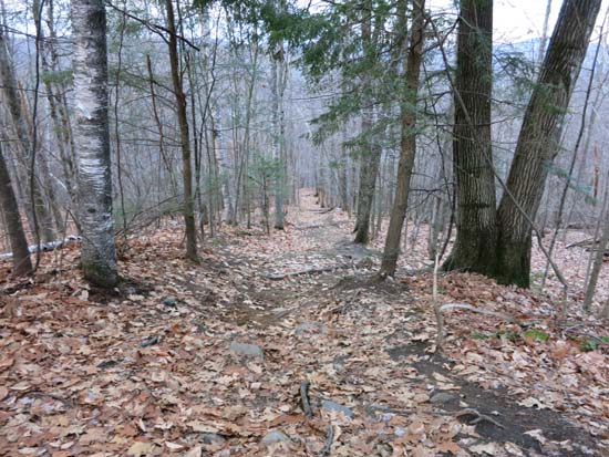 The Rattlesnake Mountain Trail