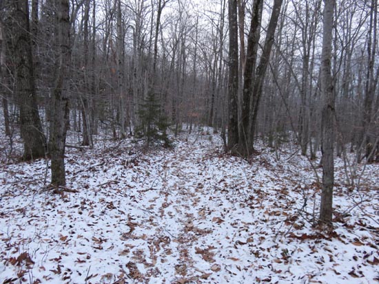 The Rattlesnake Mountain Trail