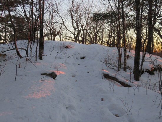 The Rattlesnake Mountain Trail