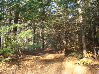 The Rattlesnake Mountain Trail trailhead on off Buffalo Road